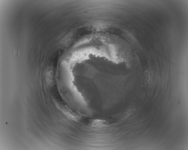 X0000081570222200701221101