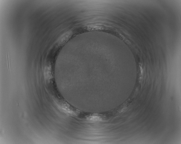 X0000081570224200701221101