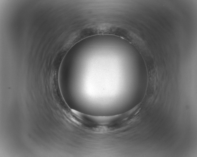 X0000081570225200701221101