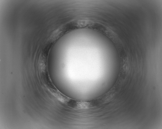 X0000081570226200701221101