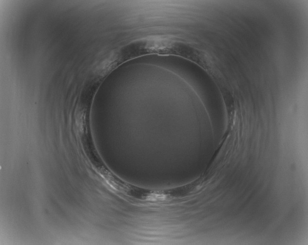 X0000081570227200701221101