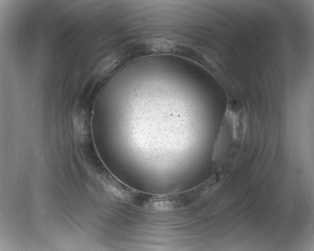 X0000081570228200701221101