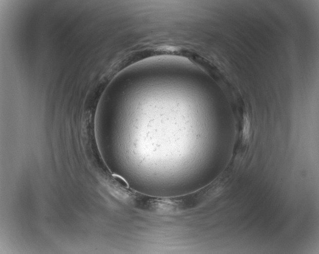 X0000081570229200701221101