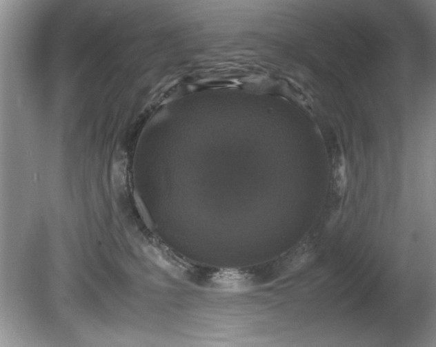 X0000081570231200701221101