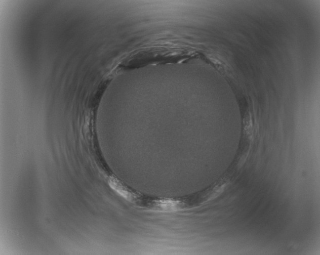 X0000081570233200701221101