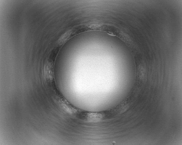 X0000081570234200701221101