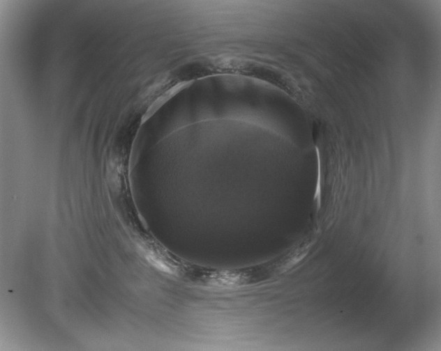 X0000081570235200701221101