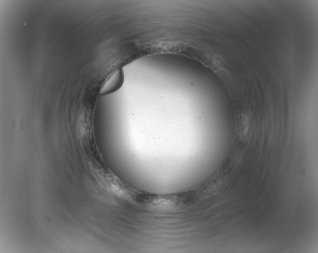 X0000081570236200701221101