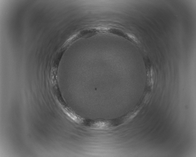 X0000081570237200701221101