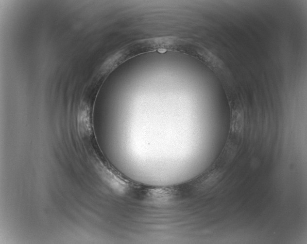 X0000081570238200701221101