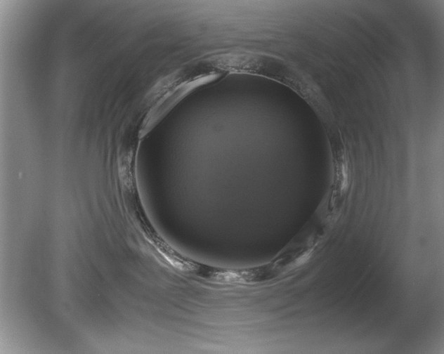 X0000081570239200701221101