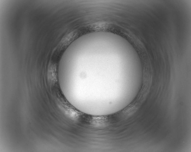 X0000081570240200701221101