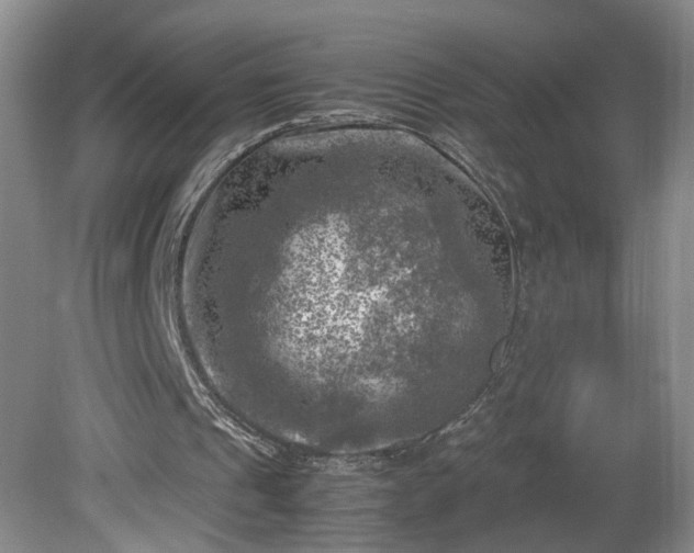 X0000081570241200701221100