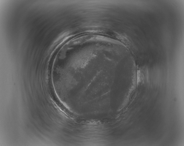 X0000081570243200701221100