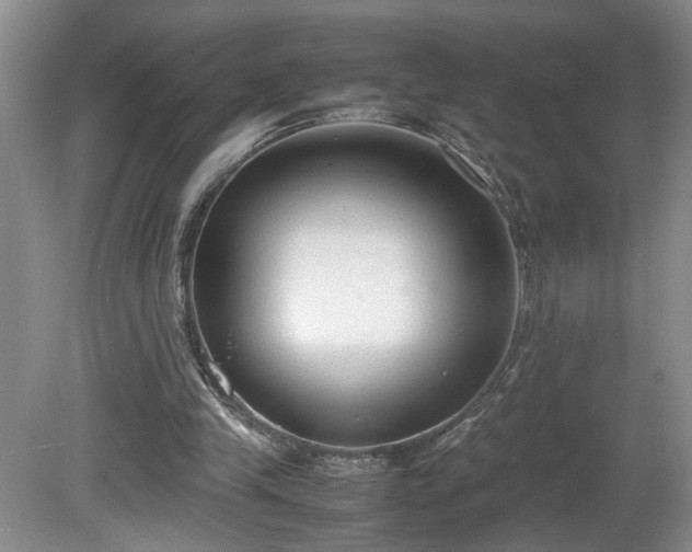 X0000081570245200701221100