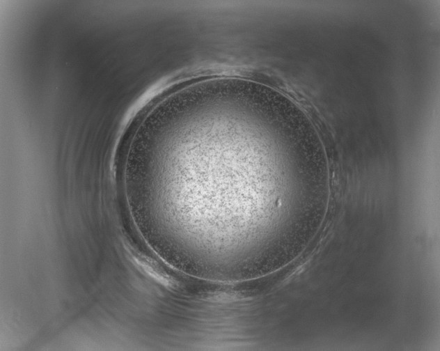 X0000081570246200701221100