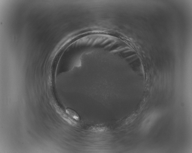 X0000081570247200701221100