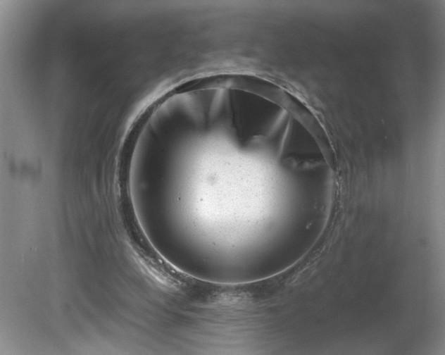 X0000081570248200701221100