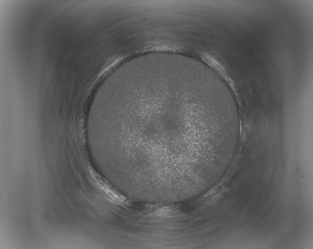 X0000081570249200701221100