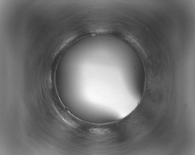 X0000081570251200701221100