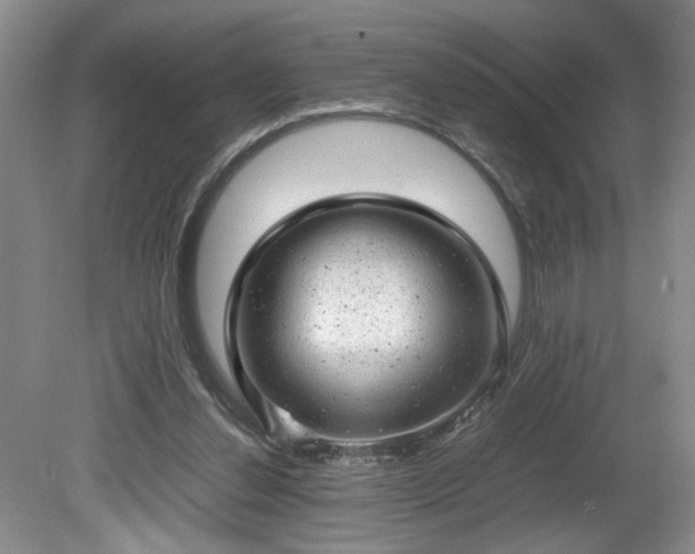 X0000081570252200701221100