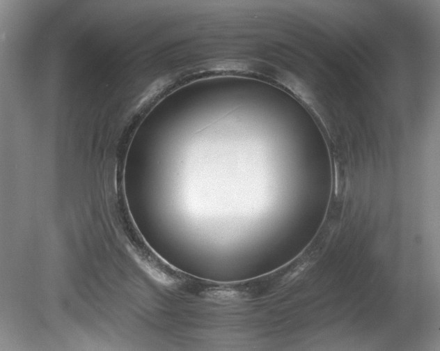 X0000081570253200701221100