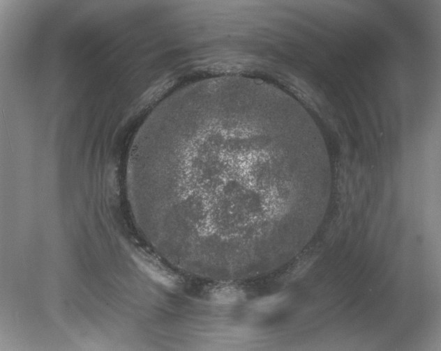 X0000081570258200701221100