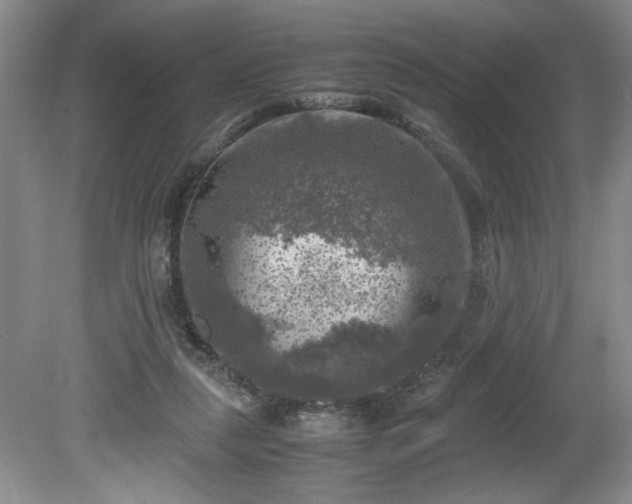 X0000081570259200701221100