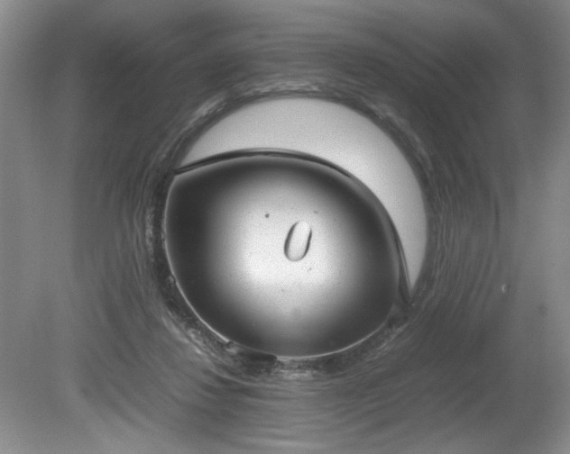 X0000081570260200701221100