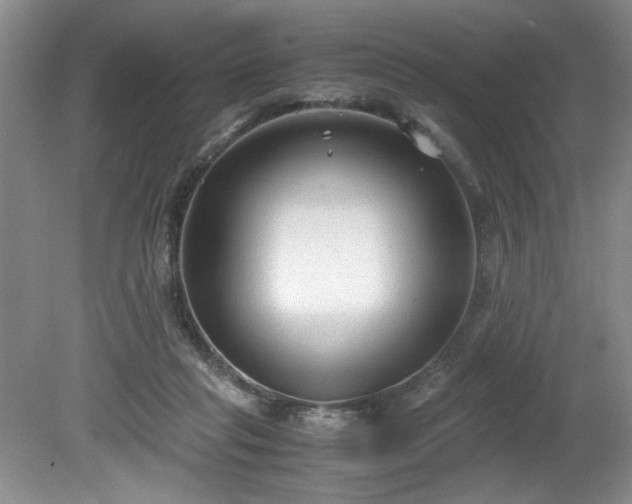 X0000081570261200701221100