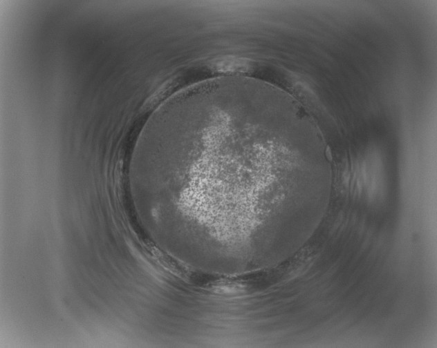 X0000081570263200701221100