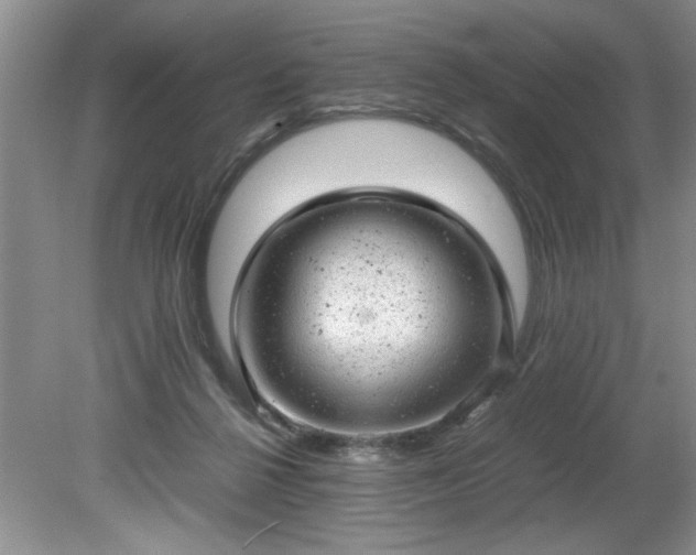 X0000081570264200701221100