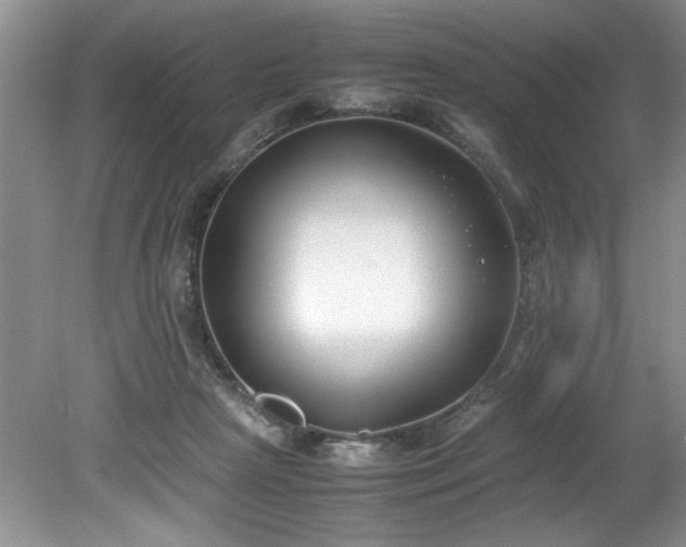 X0000081570265200701221100