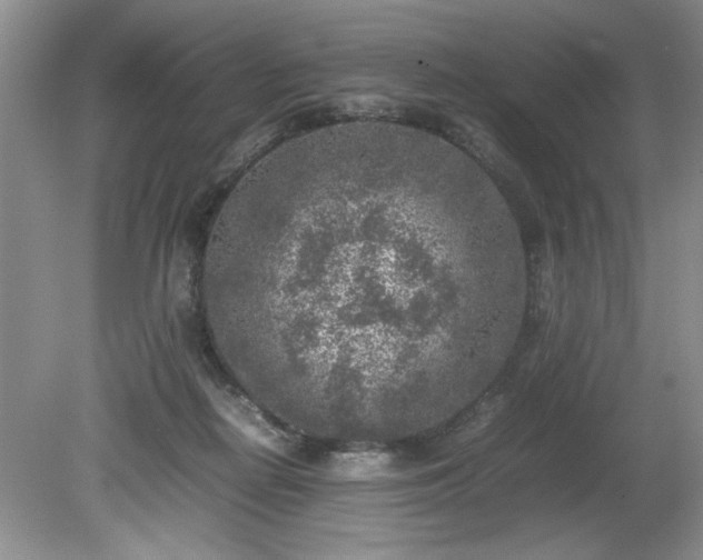 X0000081570266200701221100