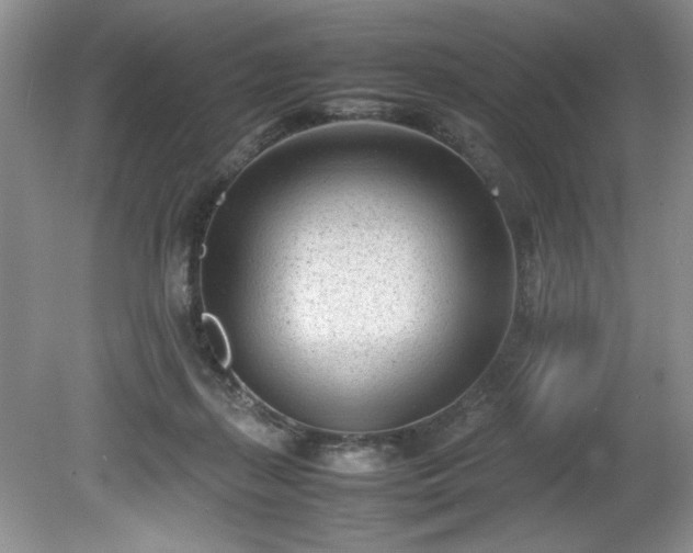 X0000081570267200701221100