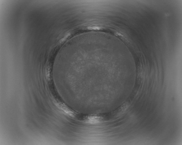 X0000081570268200701221100