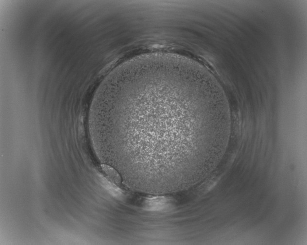 X0000081570269200701221100