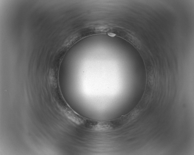 X0000081570270200701221100