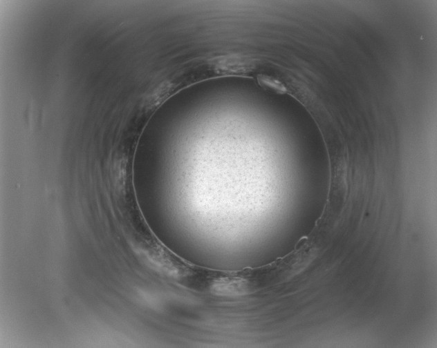 X0000081570271200701221100