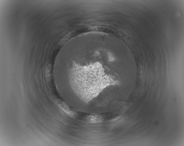 X0000081570275200701221100