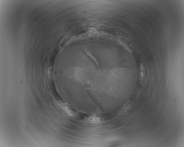 X0000081570276200701221100