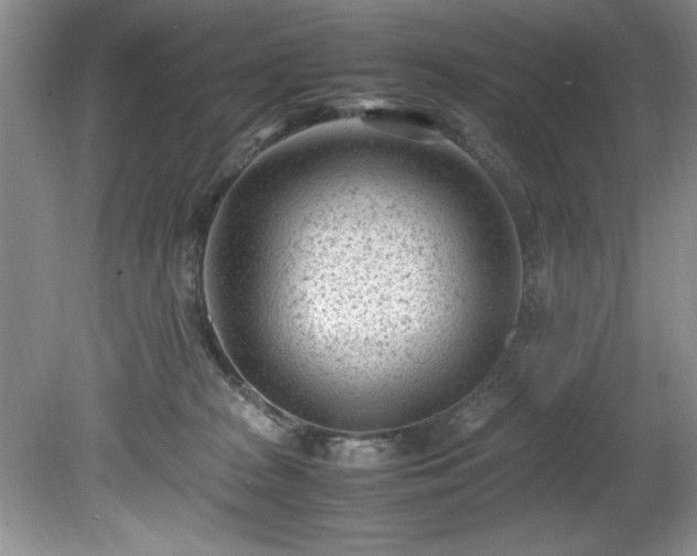 X0000081570277200701221100