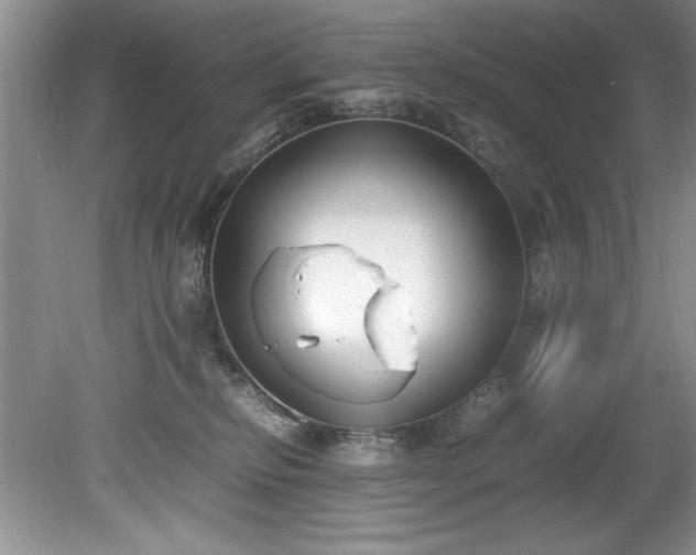 X0000081570278200701221100