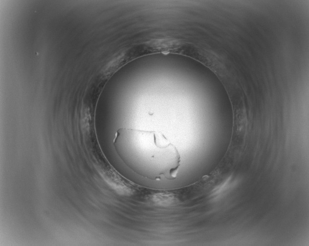 X0000081570279200701221100