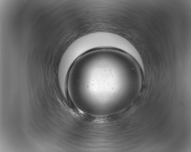 X0000081570280200701221101