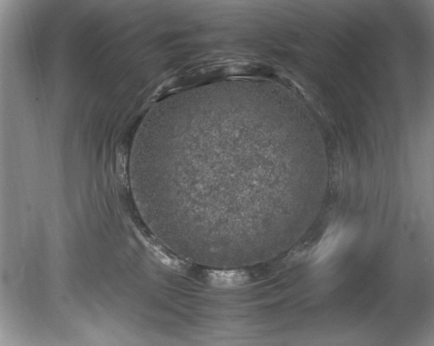 X0000081570281200701221101