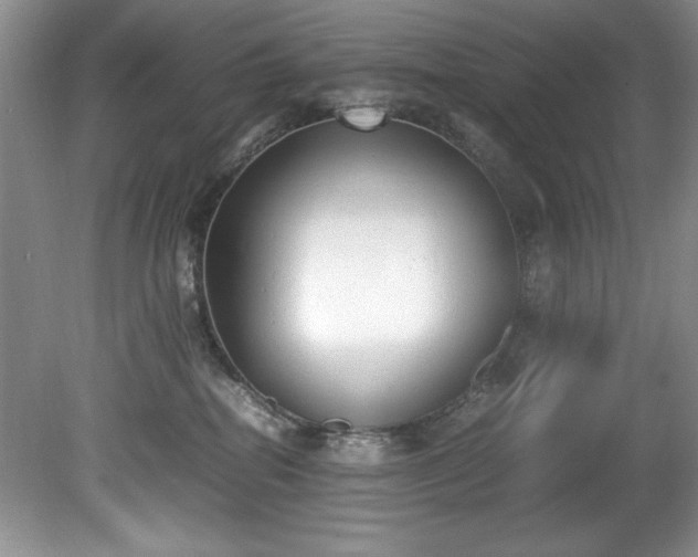 X0000081570282200701221101