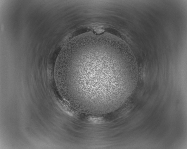 X0000081570283200701221101