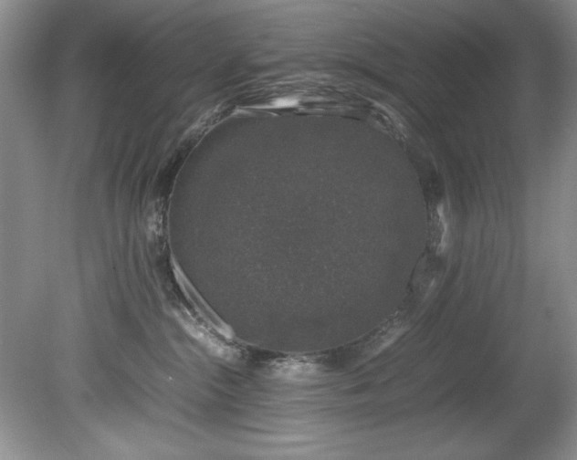 X0000081570284200701221101