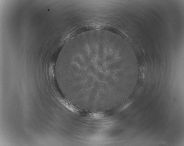 X0000081570286200701221101